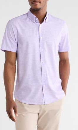 ConStruct Short Sleeve Button-Down Shirt in Lavender at Nordstrom Rack, Size Xx-Large