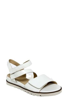 David Tate Theo Ankle Strap Sandal in White at Nordstrom, Size 12