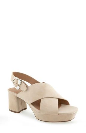 Aerosoles Pura Platform Sandal in Stone Suede at Nordstrom, Size 7.5