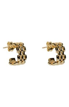 Argento Vivo Panthera Wide Hoop Earrings in Gold at Nordstrom Rack