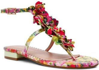Betsey Johnson Kenedy Ankle Strap Sandal in Green Floral Multi at Nordstrom, Size 7.5