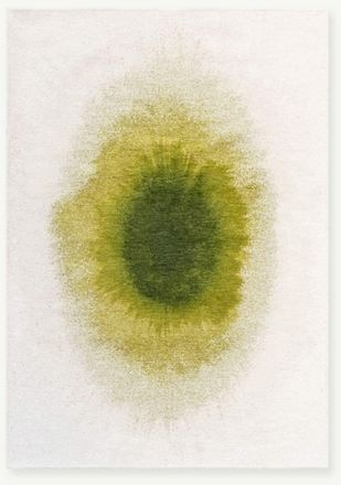 Novatrend Alfombra moderna tejida plana Verde 240x340 cm