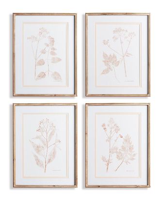 Napa Home & Garden Blush Botanical Study Prints