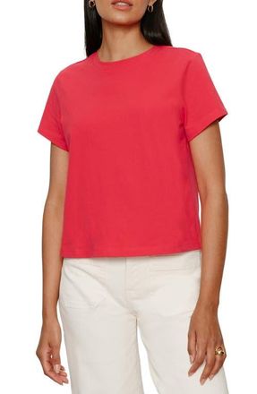Sanctuary Rose Perfect Cotton T-Shirt in Tulip Red at Nordstrom, Size X-Large