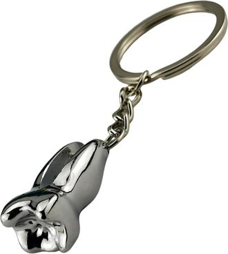 Generic Dentist Key Ring - Tooth Design Keychain | Dentals Keychain Ring | Personalized Dentals Hygiene Keychain | Decorative Keychain Ornament | Alloy Tooth 