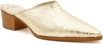 Amalfi By Rangoni Pensiero Pointed Toe Mule in Platino Alabama at Nordstrom, Size 9.5