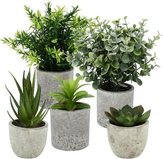 OEM Plantas Artificiales - Suculentas Agave Serpentina Aloe - Decoraci&oacute;n Para Dormitorio Y Oficina - Set De 5 Unidades