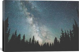iCanvas Icanvas Stars Over The Forest Iii By Luke Anthony Gram Wall Art