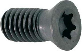 Maier Sports Maier - Unidades De Recambio, Fresa De Chafl&aacute;ner 10 De 80&deg; Con Regar Central, Modelo : Tornillo De Empreinte Torx Para Trozo Extra&iacute;ble