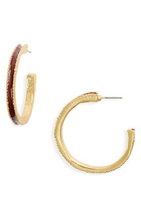 Karine Sultan Espresso Hoop Earrings in Gold at Nordstrom