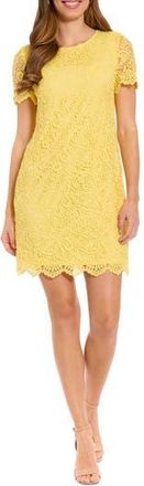 London Times Scalloped Lace Shift Dress in Sunshine at Nordstrom Rack, Size 14P