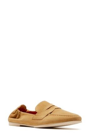 La Canadienne Kitson City Dry Penny Loafer in Tabacco Suede at Nordstrom, Size 9