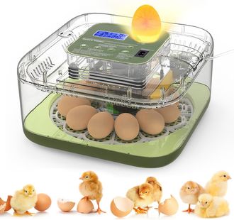 OEM Incubadora Totalmente Autom&aacute;tica Para 12 Huevos Con Funci&oacute;n De Inversi&oacute;n Autom&aacute;tica