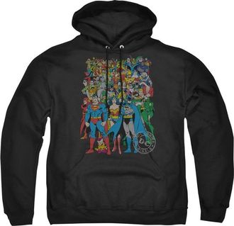 Gildan DC Comics Original Universe Adult Pull Over Hoodie / Hooded Sweatshirt