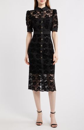 Tahari by ASL Lace Midi Shirtdress in Black at Nordstrom, Size 16