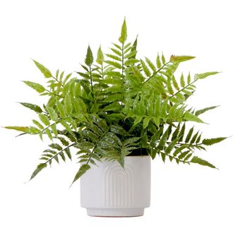 Nearly Natural 13-in Artificial Boston Fern Plant with Decorative Planter in Green at Nordstrom