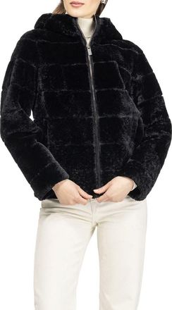 Gorski Horizontal Genuine Shearling Zip Jacket with Hood in Black at Nordstrom, Size X-Small
