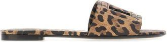 Dolce & Gabbana Donna, Scarpe, Multicolore, 38 EU, new