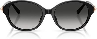 Tiffany & Co. 54mm Round Sunglasses in Black /Grey Gradient at Nordstrom