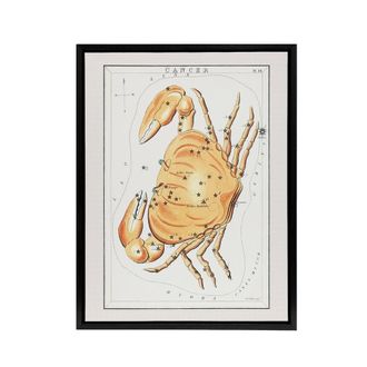 Artery8 Vintage Cancer Constellation Illustration Hall Framed Canvas Wall Art in White | Size: W24 x H32