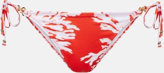Alexandra Miro Leoni printed bikini bottoms