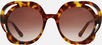 Ted Baker Womens Ted Baker Womens Aurora Sunglasses in Classic Tortoiseshell