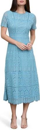 August Sky Lace Midi Drss in Light Teal at Nordstrom Rack, Size Large