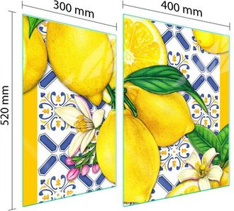 OEM Placa Protectora De Vidrio Para Estufa 70x52 Lim&oacute;n