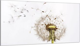 OEM Placa De Protecci&oacute;n De Estufa De Vidrio 90x52 Flor