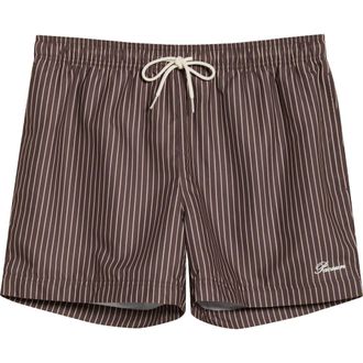 PacSun Bailey Pinstripe Swim Trunks in Brown/Tan at Nordstrom, Size X-Large