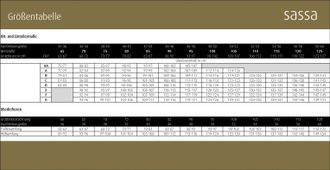 Sassamode Panty SASSA Functional Lace, Damen, Gr. 100, schwarz (2x schwarz), Spitze, Obermaterial: 89% Polyamid, 11% Elasthan, unifarben, normal, Unterhosen Pan