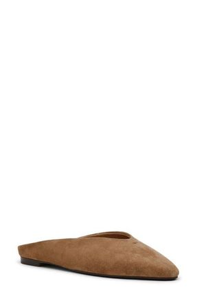 Steve Madden Sherman Mule in Tan Suede at Nordstrom, Size 5