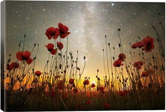 iCanvas Icanvas Moonrise Kingdom I By Adrian Borda Wall Art