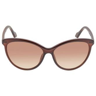 Calvin Klein Brown Gradient Cat Eye Ladies Sunglasses CK19534S 210 58