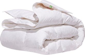 Canadian Down & Feather Company 260 Thread Count White Goose Feather & Down All-Season Weight Duvet