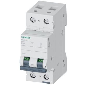 SIEMENS Interruttore Magnetotermico 400V 10 kA, a 2 poli, C, 50ASIE5SL42507