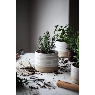 Farmhouse Pottery Small Glazed Stoneware Garden Pot in White at Nordstrom