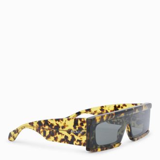 Alaia Womens Sunglasses Havana-Havana-Grey _ Ac