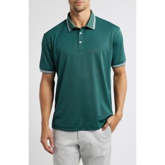 Swannies Thatcher Tipped Performance Polo in Forest at Nordstrom Rack, Size Xx-Large