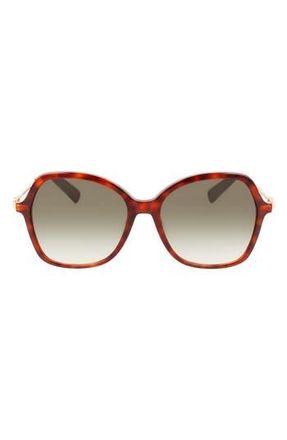 Longchamp 57mm Amazone Modified Rectangle Sunglasses in Havana at Nordstrom Rack