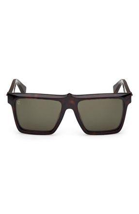 Christian Louboutin 56mm Square Sunglasses in Havana /Bronze /Zeiss Green at Nordstrom