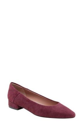 Linea Paolo Becky Pump in Dark Burgundy at Nordstrom Rack, Size 6