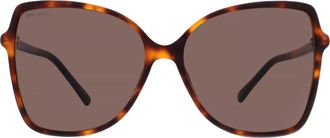 Jimmy Choo London Fede/S 59 Brown Butterfly Ladies Sunglasses 221FEDE/S 59 E086 E70 BROWN