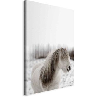 OEM Pintura - Crin De Caballo (1 Pieza) Vertical
