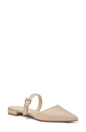 Bruno Magli Pasha Mule in Sand at Nordstrom Rack, Size 10.5