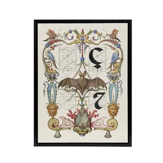 Artery8 Pictoral Letter Guide with Bat Calligraphy Framed Canvas Wall Art in White | Size: W24 x H32