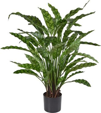 Baq Lebensechte Kunstpflanze Calathea Leoparden, Höhe 60 cm