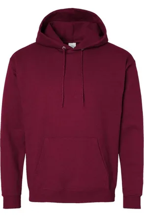 Hanes Ecosmart Hooded Sweatshirt