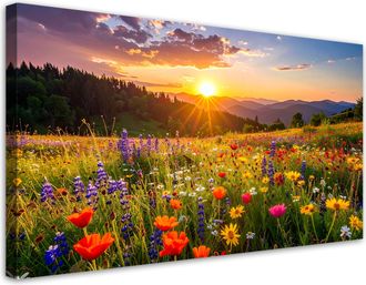 Feeby Cuadro Sobre Lienzo, Flores Silvestres En Un Prado Naturaleza, 120x60