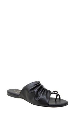Linea Paolo Lane Toe Loop Sandal in Black at Nordstrom Rack, Size 7.5
